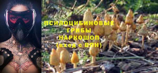 индика Куйбышев