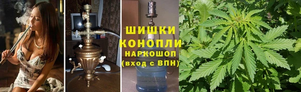 индика Куйбышев