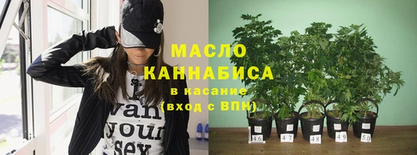 индика Куйбышев