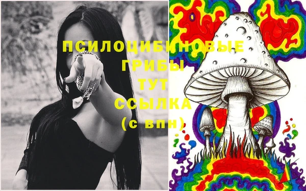 2c-b Кулебаки