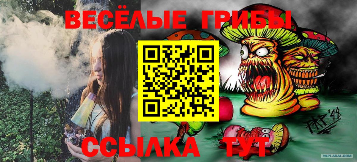 Псилоцибиновые грибы GOLDEN TEACHER  Каменск-Уральский  Псилоцибиновые грибы GOLDEN TEACHER 