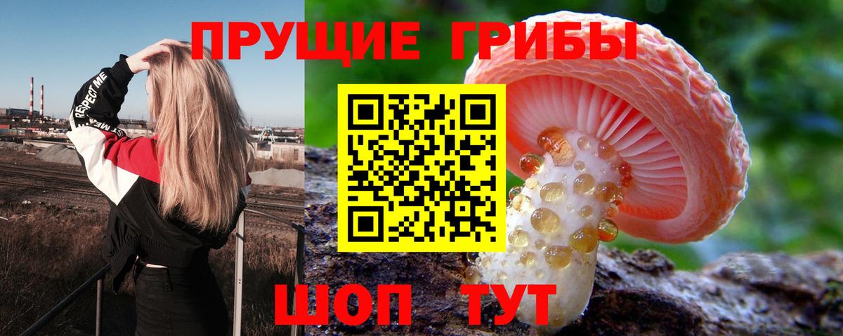 Галлюциногенные грибы мухоморы Каменск-Уральский